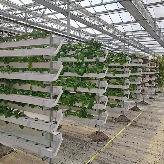 /uploads/image/2025/12/04/hydroponic-nft-equipment-3.jpg hydroponic-nft-equipment-3.jpg