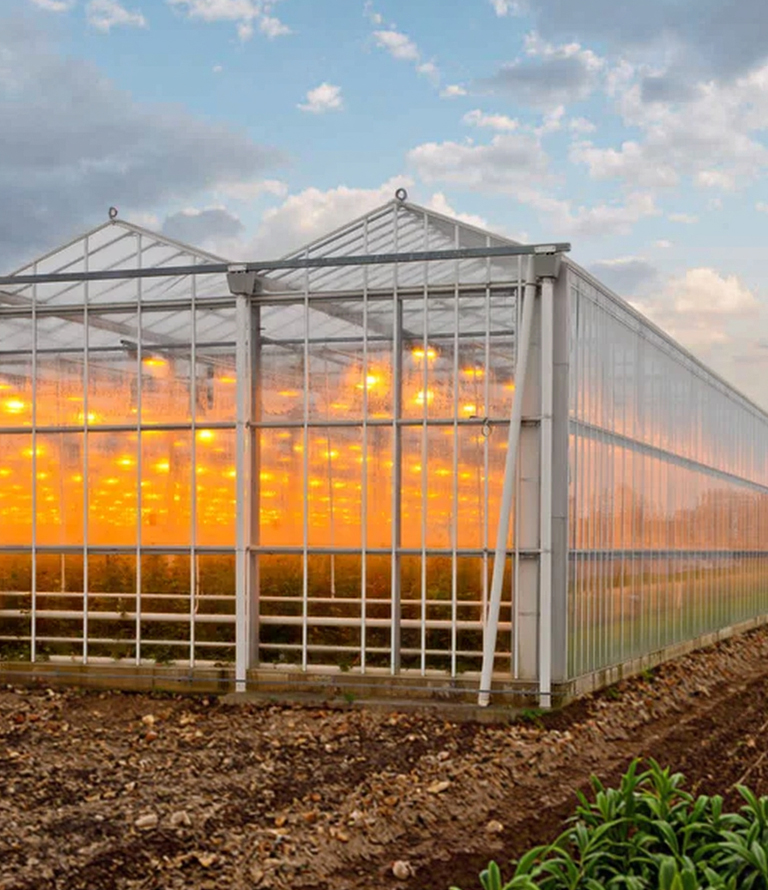 Hydroblue Hydroponics: Water + Nutrients = Lush Hydroponic Harvests