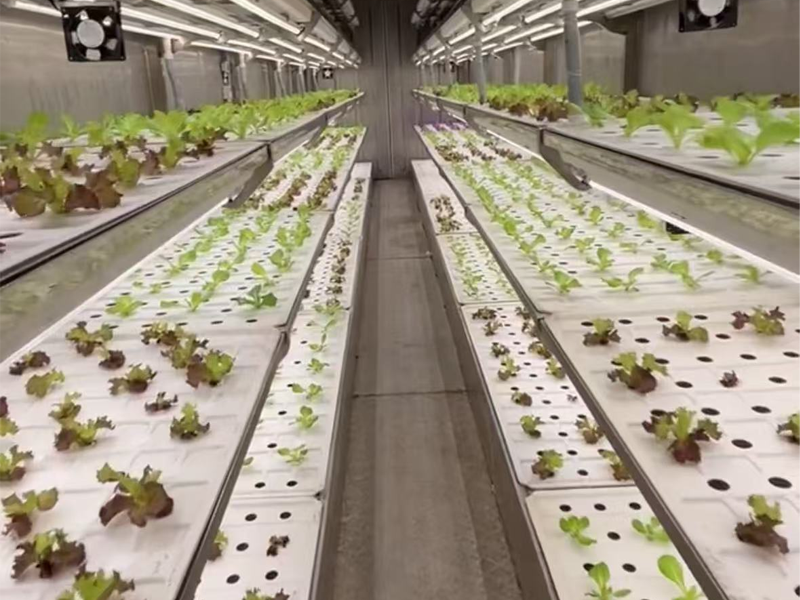 Container greenhouse delivery to Russia