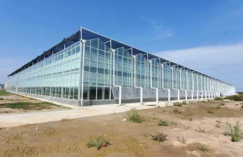 Hydroblue Hydroponics Cases in Egypt