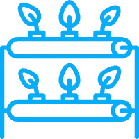 Indoor Plant Factory Solutions