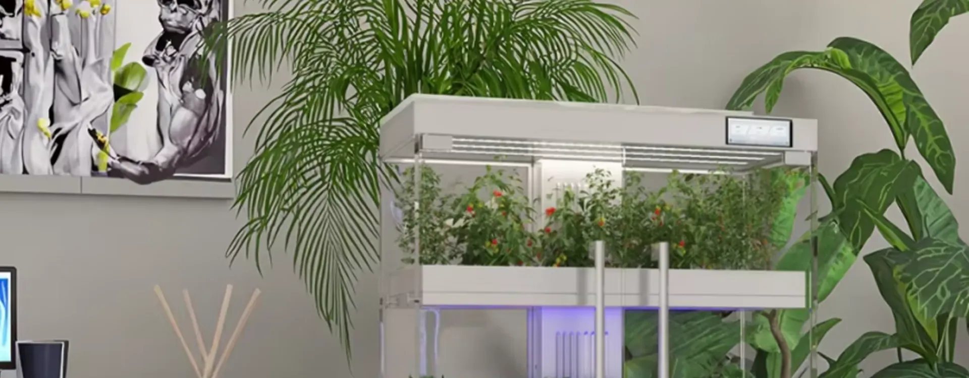 HF3-Glass Display Cabinet Hydroponic Planter