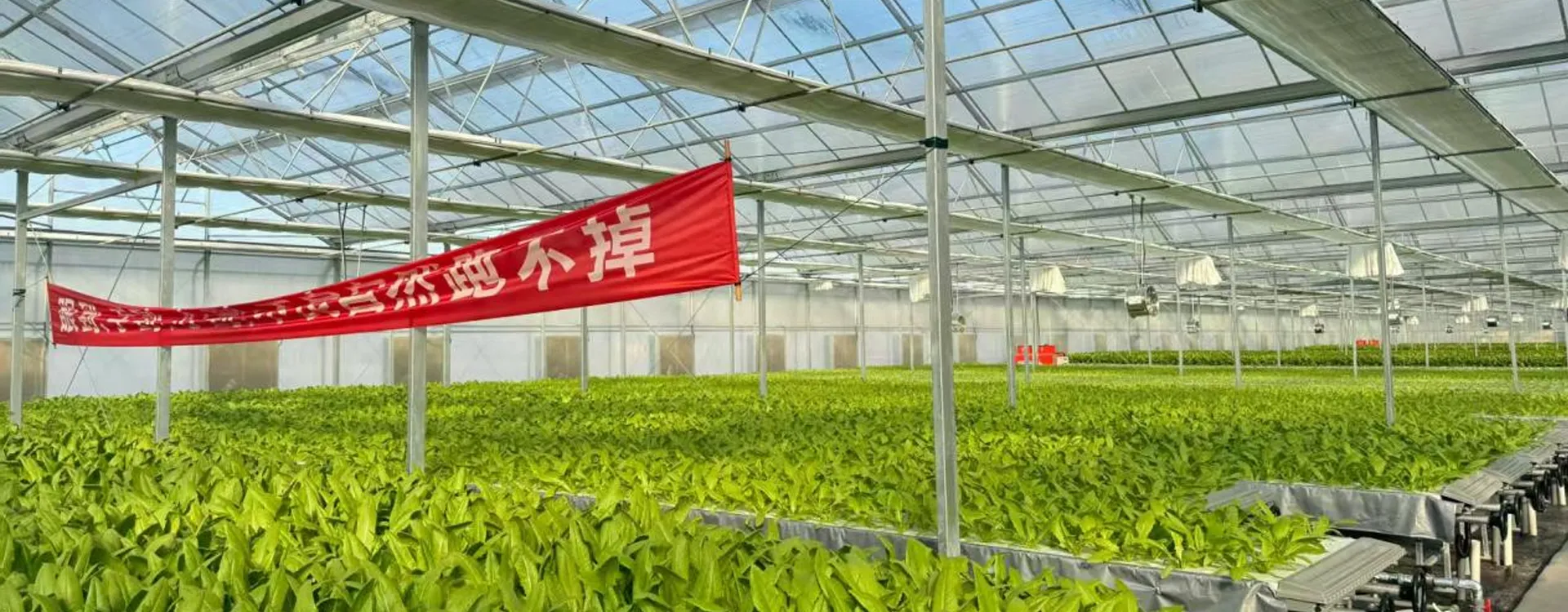 HT3-Rolling Bench Ebb and Flow