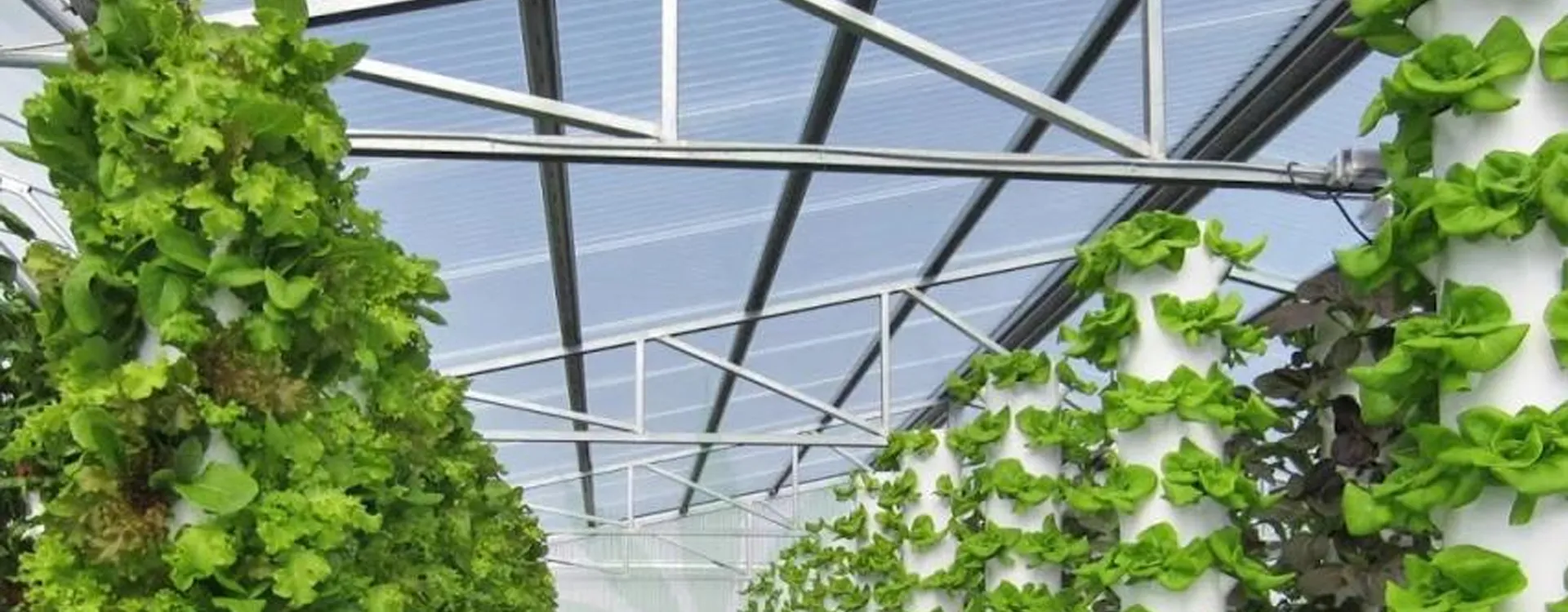 HP2-Slender Pineapple Hydroponic Tower