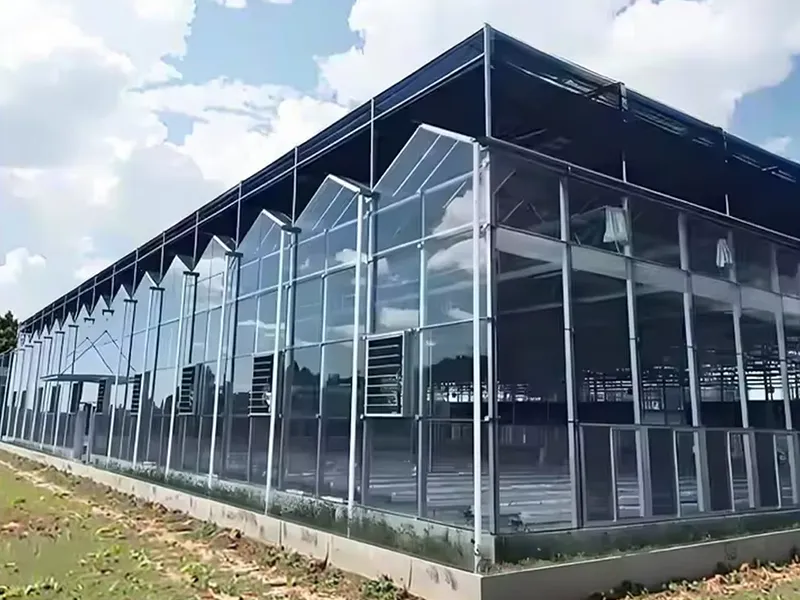 Hydroponic Soilless Greenhouse Equipment for Sale | HydroBlue