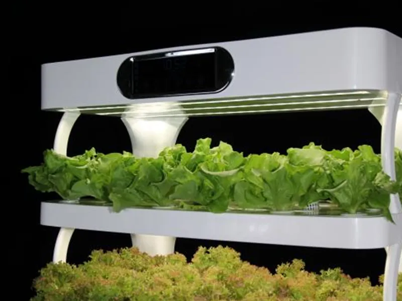 Home & Garden Hydroponics