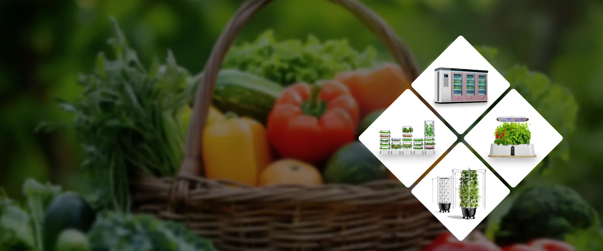 hydroponic system china