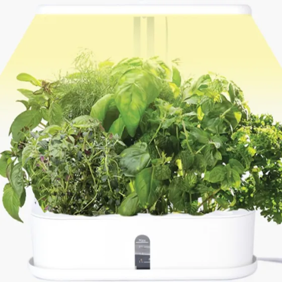 HF4-Small Grow Lights