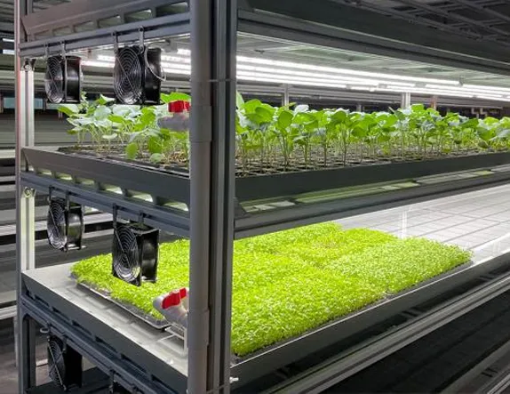 ebb and flow controller