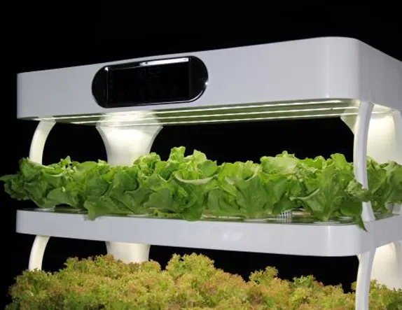 garden hydroponic