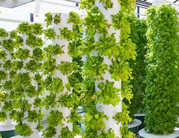 hydroponic garden tower indoor