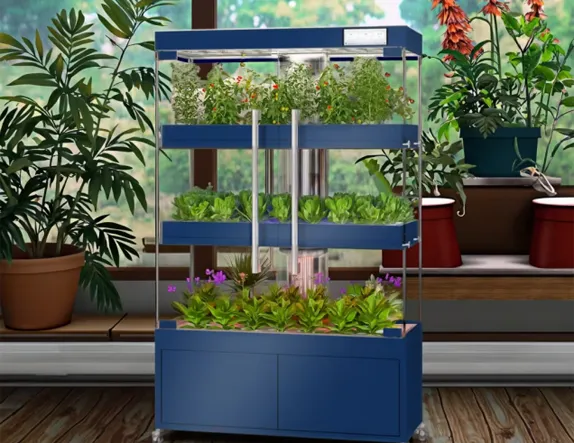 hydroponic glass vase
