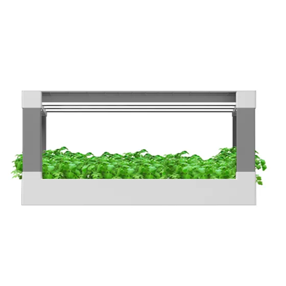 HD5-Seedling Cultivation Hydroponic Kit