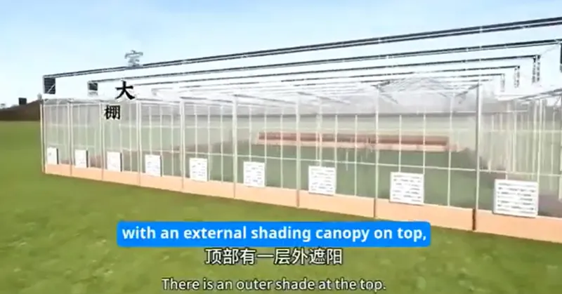 Product Showcase of Green House Hydroponic