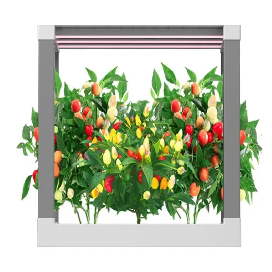 HD2-Fruit and Vegetables Hydroponic Kit