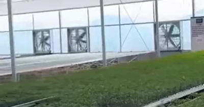 Product Showcase of Ebb and Flood System