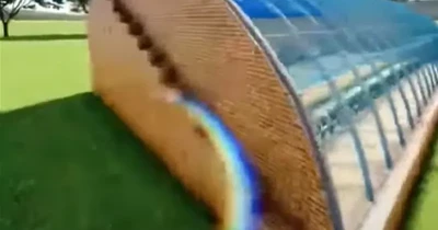 Product Showcase of Green House Hydroponics