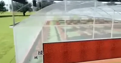 Product Showcase of Home Hydroponic Greenhouse