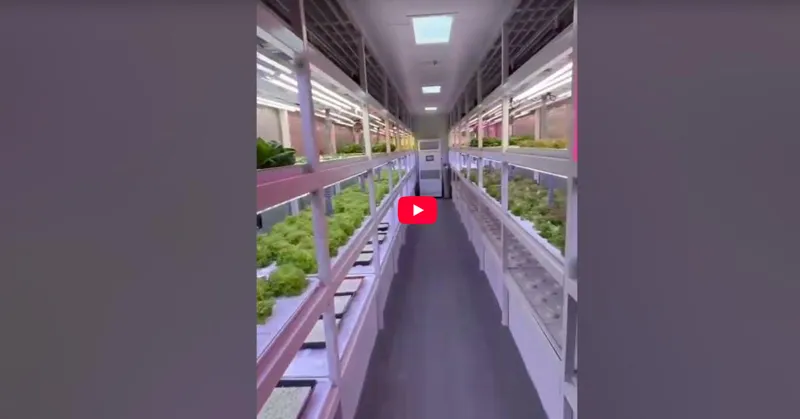 Product Showcase of Hydroponic Container Farm