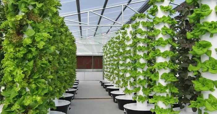 Product Showcase of Slender Pineapple Tower