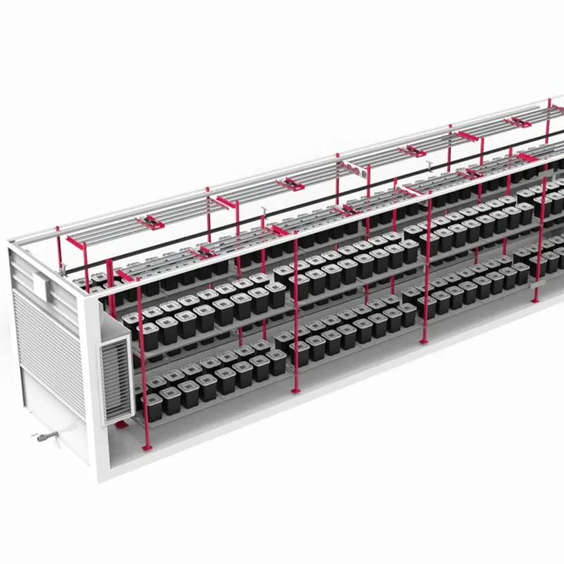 HG2-Fruit and Vegetables Grow Container