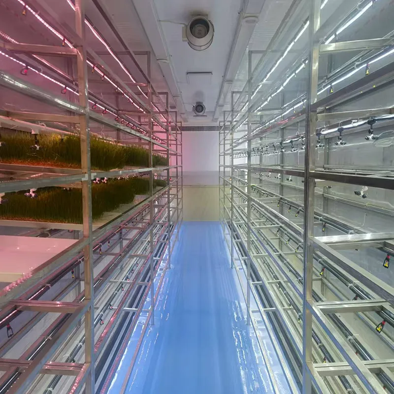 HG5-Forage Grass Grow Container