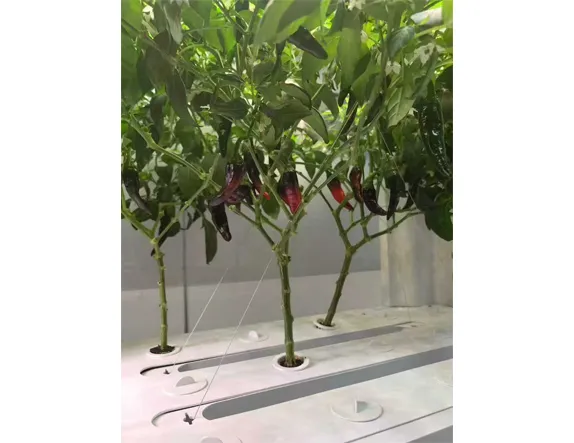 hf1 square 5 layers home hydroponic planter 7