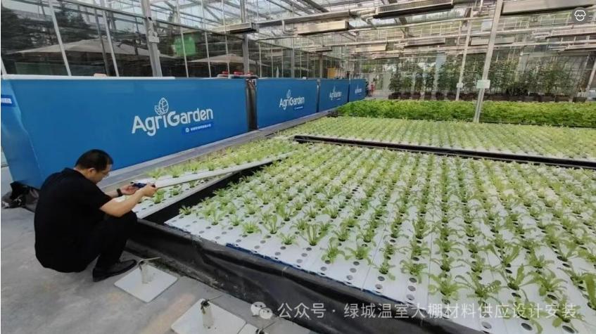 agronomic-management-as-the-core-key-2.jpg agronomic-management-as-the-core-key-2.jpg