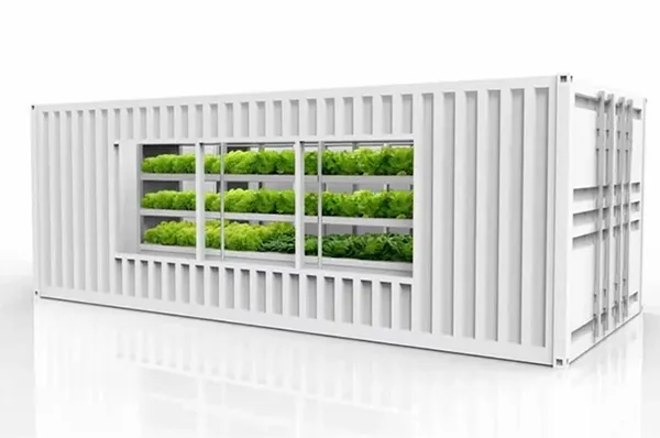 Hydroponic Grow Container