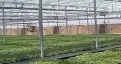 Touring the Ebb and Flow System