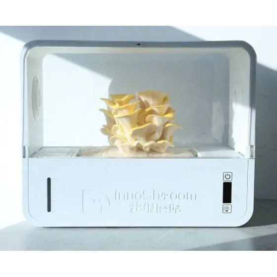 Mushroom Cultivation Machine