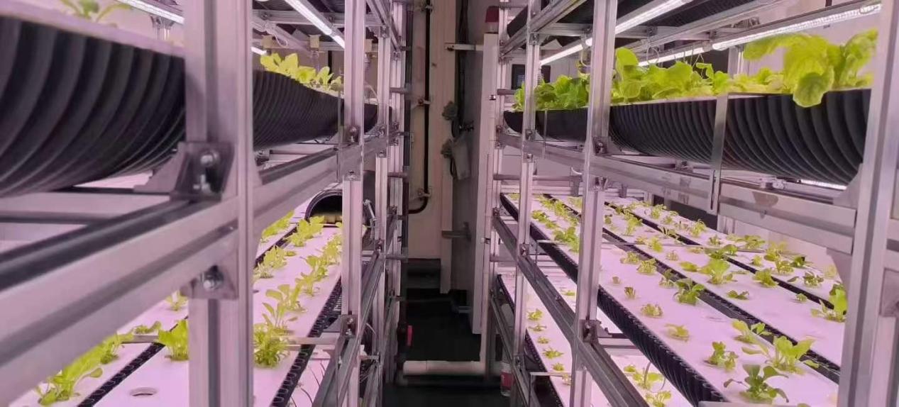 the-first-harvest-of-the-intelligent-hydroponic-system-aboard-5.jpg
