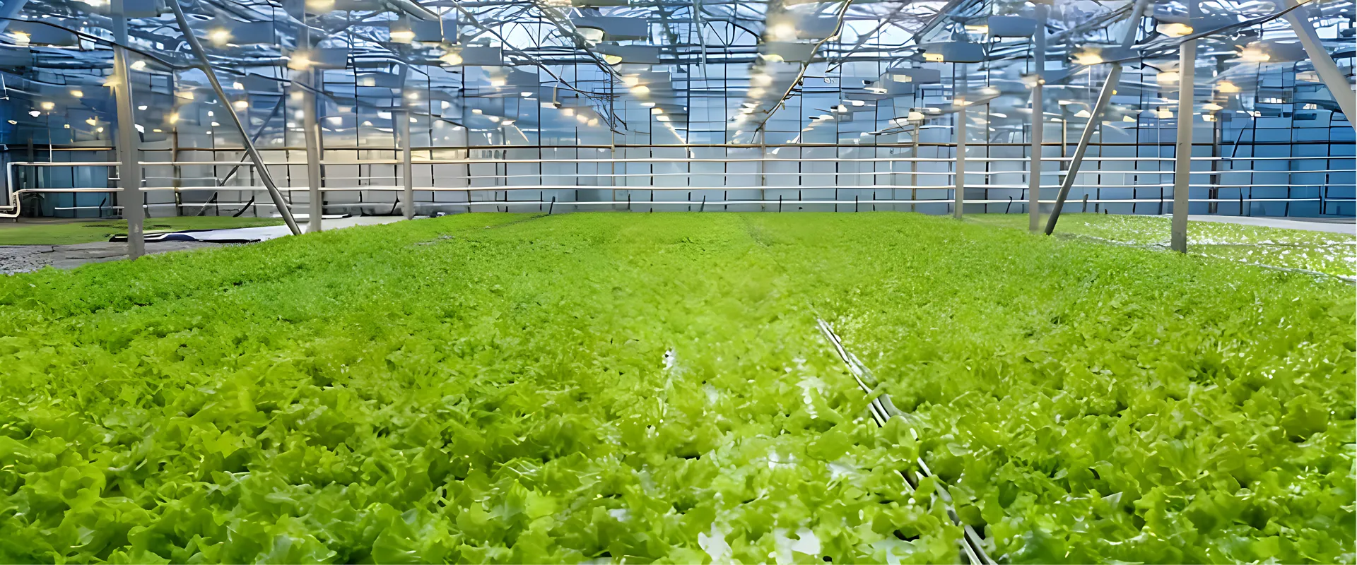 hydroblue hydroponics equipment manufacturer