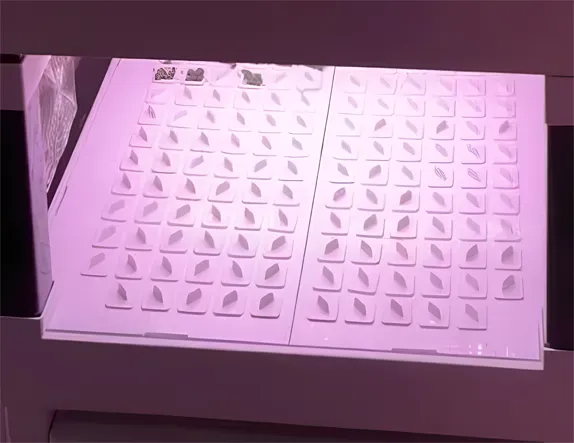 HD5-Climbing Hydroponic Kit for Sale | HydroBlue