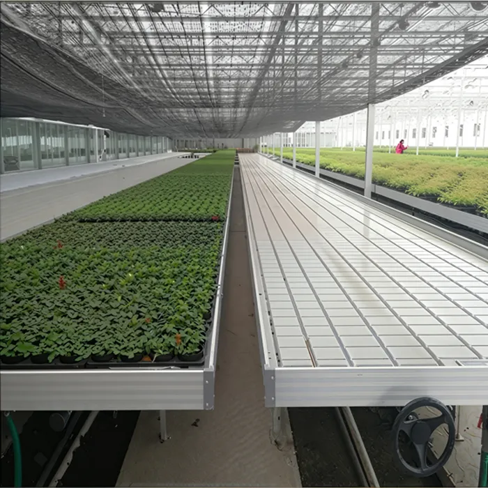 HT3-Rolling Bench Ebb and Flow