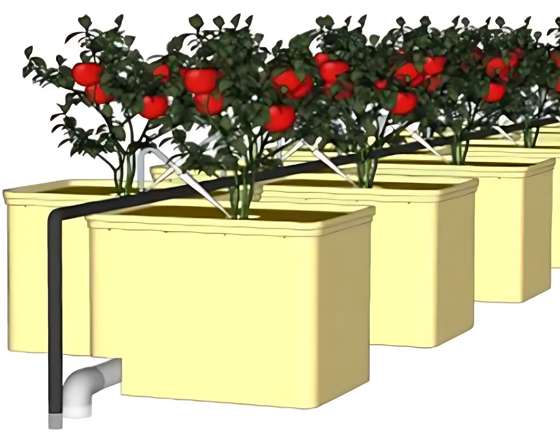 dutch bucket hydroponic system