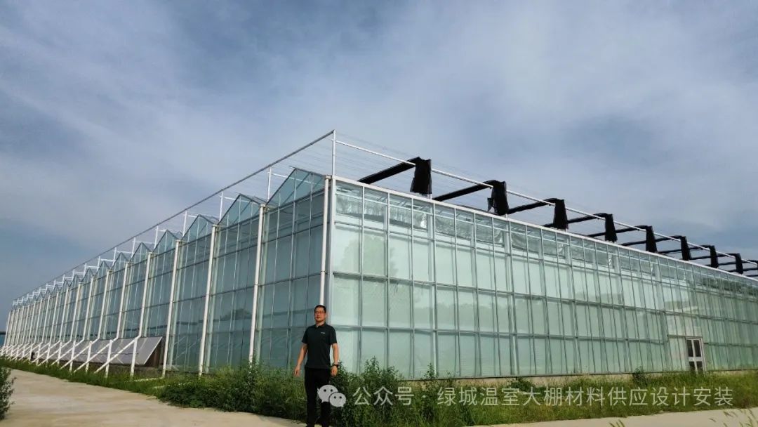 chinese-greenhouse-technologys-counterattack-2.jpg