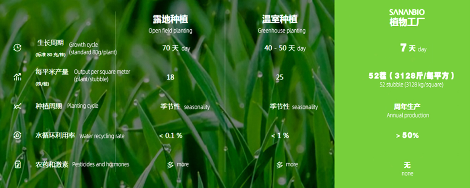 economic advantages of hydroponic container systems over conventional agriculture