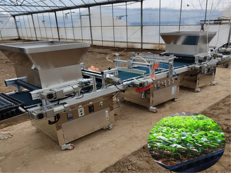 Seedling Raising System