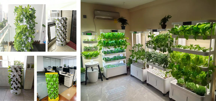 home-hydroponics-a-new-choice-for-healthy-planting-and-a-new-trend-for-smart-living-04.jpg