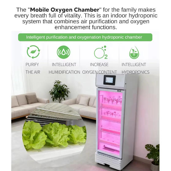 intelligent-purification-oxygenation-hydroponic-cabinet-build-your-home-healthy-oxygen-bar-and-fresh-vegetable-garden-1.jpg