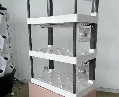 Plant Block Three-Layer Leafy Vegetable Version: Assembly and Practical Planting Test