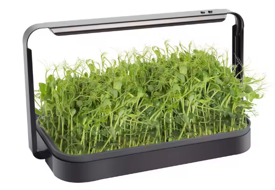 Microgreen_vegetable_solutions_01.png