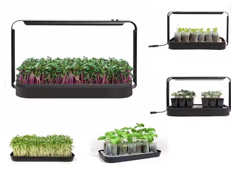 Microgreen_vegetable_solutions_04.jpg
