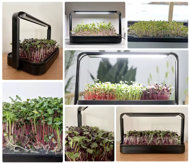 Microgreen_vegetable_solutions_06.png