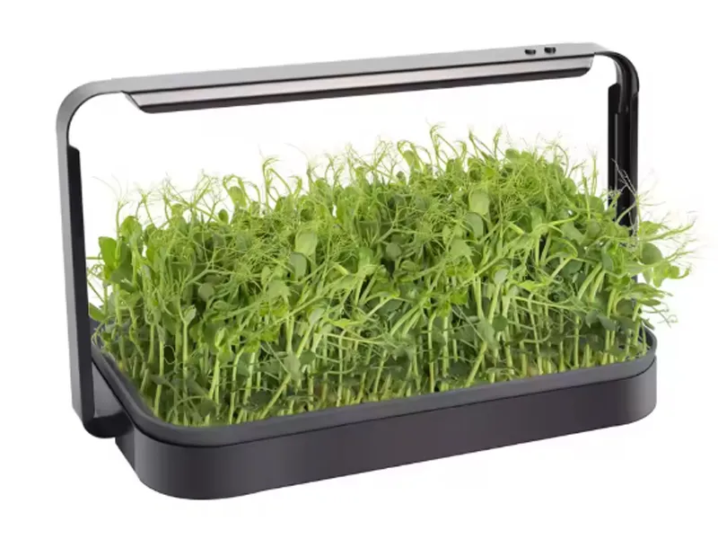 This solution is tailored for home and small-scale seedling bases, featuring food-grade PP trays, low-voltage LED lights and mini water-fertilizer drip components. It’s easy to assemble and operate with low initial investment.Suitable for small-batch multi-variety microgreen cultivation, it supports independent control of light and nutrients, reducing resource waste and avoiding cross-contamination for fresh on-site production.