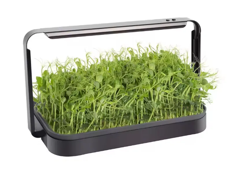 The global hydroponic industry for microgreens is shaped by European and American leadership, rapid Asia-Pacific growth and expanding emerging markets. Its technology is evolving toward the integration of aeroponics and hydroponics, with intelligent control as a standard configuration. The three cultivation modes—seedling tray, plug tray and container—meet full-scenario needs, and the container mode significantly boosts productivity and space utilization. Moving toward energy efficiency, intelligence and modularization, the industry will become a core driver of the intelligent transformation of global agriculture.