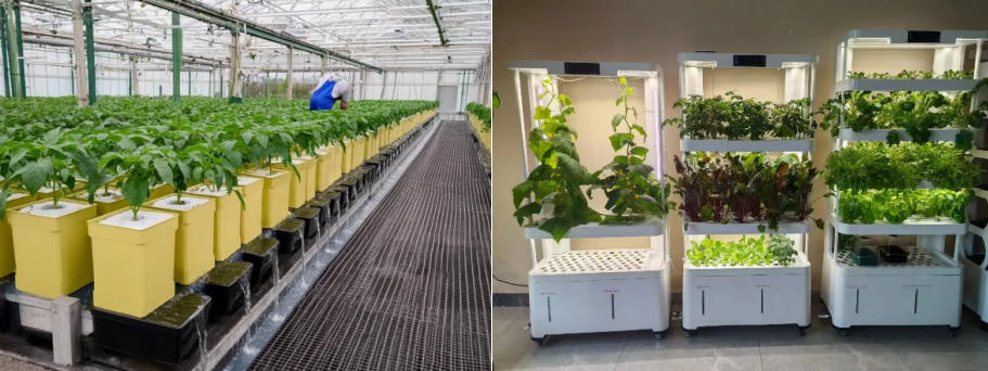 hydroblue-tech-growing-with-water-innovating-for-the-future-explore-the-new-ecosystem-of-soilless-cultivation-with-hydroblue-tech_03.jpg