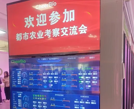 Exploring Future Agriculture! A Visit to Our Hydroponics Equipment Factory