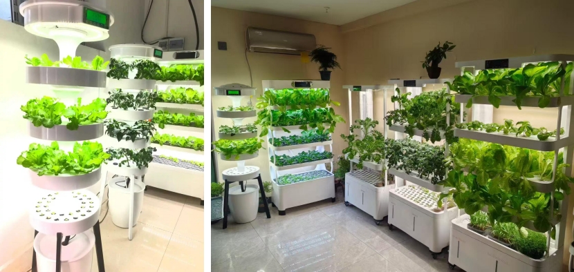 home-hydroponic-gardening-fresh-green-life-with-hydroblue-tech.jpg